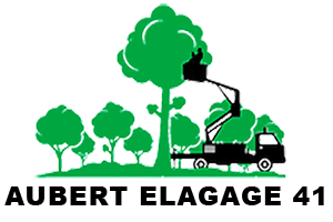 elagueur-aubert-elagage-41